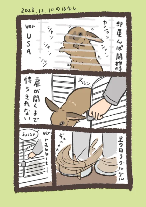 扉を開けて🚪

#うさぎのいる生活 