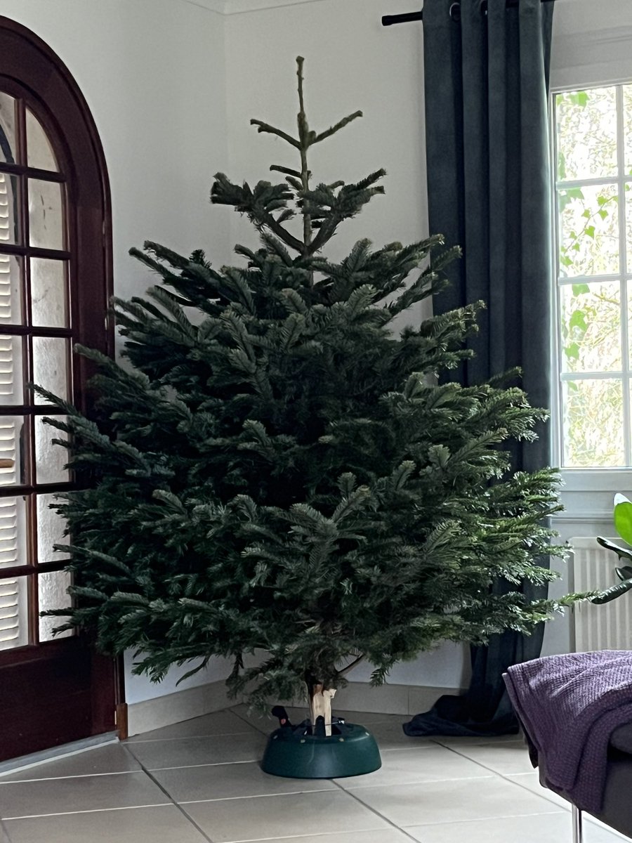 𝕗𝕝𝕠𝕣𝕖 💉💉💉🦠🐝 tweet media