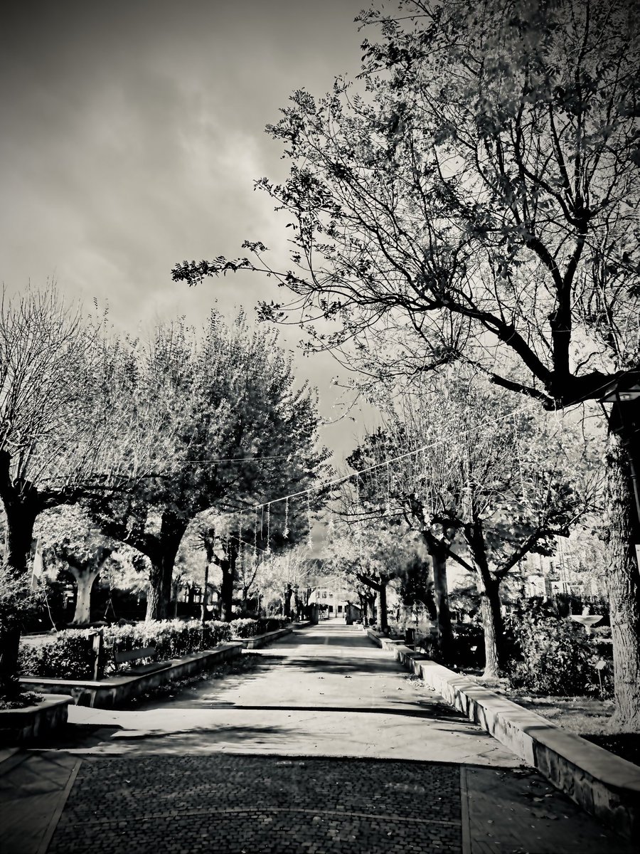 #Stupore_Lucano #basilicata #francavillainsinni #blackandwhite #biancoenero #bnw #bnw_society #bw #bw_crew #bw_lover #bw_photooftheday #bw_society #bwstyleoftheday #bwstyles_gf #bwwednesday #fineart_photobw #blackandwhite #igersbnw #instagood #irox_bw #monoart #monochromatic