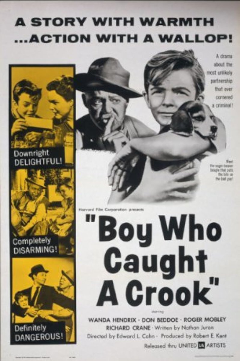 TalkingPicsTV's tweet photo. Premiere 3:30pm A Story with Warmth and Action with a Wallop! #WandaHendrix #DonBeddoe BOY WHO CAUGHT A CROOK (1961) family adventure #TPTVsubtitles https://t.co/EpwOZu3Afo