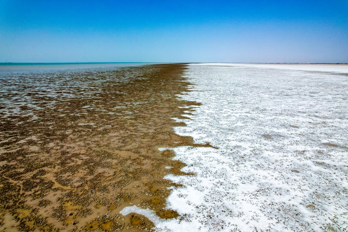 NRC_MiddleEast's tweet photo. Climate change is compounding the impact of conflict and displacement for populations across the MENA region, as farming and urban communities grapple with water shortage and drought conditions. #COP28

Thread ��� https://t.co/UJE3xZDHHL