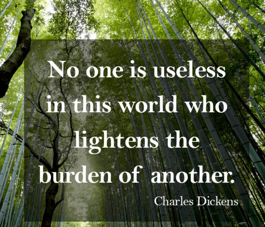 Lisa D (@lisadyckpdq) on Twitter photo 