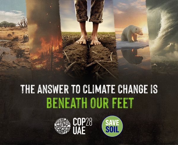 PoojaExplores's tweet photo. “It doesn’t matter who you are, what you believe, or which heaven you will go to; all of us come from the same soil, we eat off the same soil, and when we die, we will go back to the same soil. The soil is the ultimate unifier!" - @SadhguruJV @IUSS_ORG #SoilForClimateAction https://t.co/Vi6r9Q51Ny