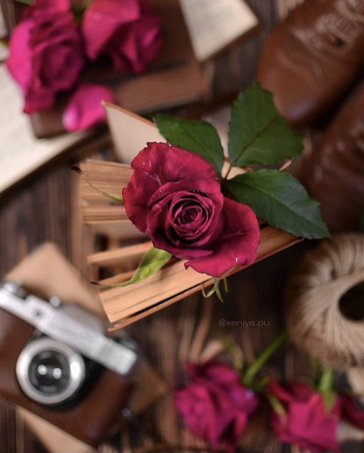 Amolty5555's tweet photo. #رساله_لقلبك

👩🏻‍⚕️❁❥ ❀
.

والله إن أبرك الجيات حزة مجيك
على الرحب دايم وكلي لك سعه..
.

'❊❀🌺❁ https://t.co/TvafisG3nm