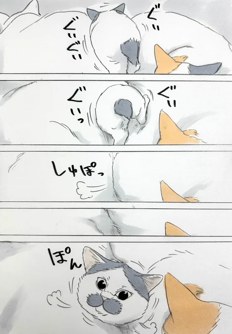 まいにちノリ吉 