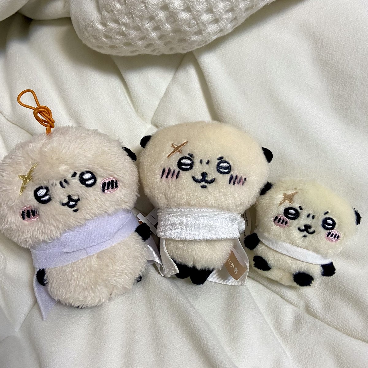 5252wwz's tweet photo. 나애 애기감자들 .. https://t.co/vIVRHZNa3o