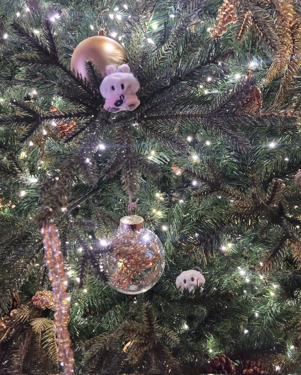 🎄🎄🎄
<a href="/meltingme_more/">🌷 𝗺𝗲𝗹𝘁𝗶𝗻𝗴𝗺𝗲𝗺𝗼𝗿𝗲 🌷</a>