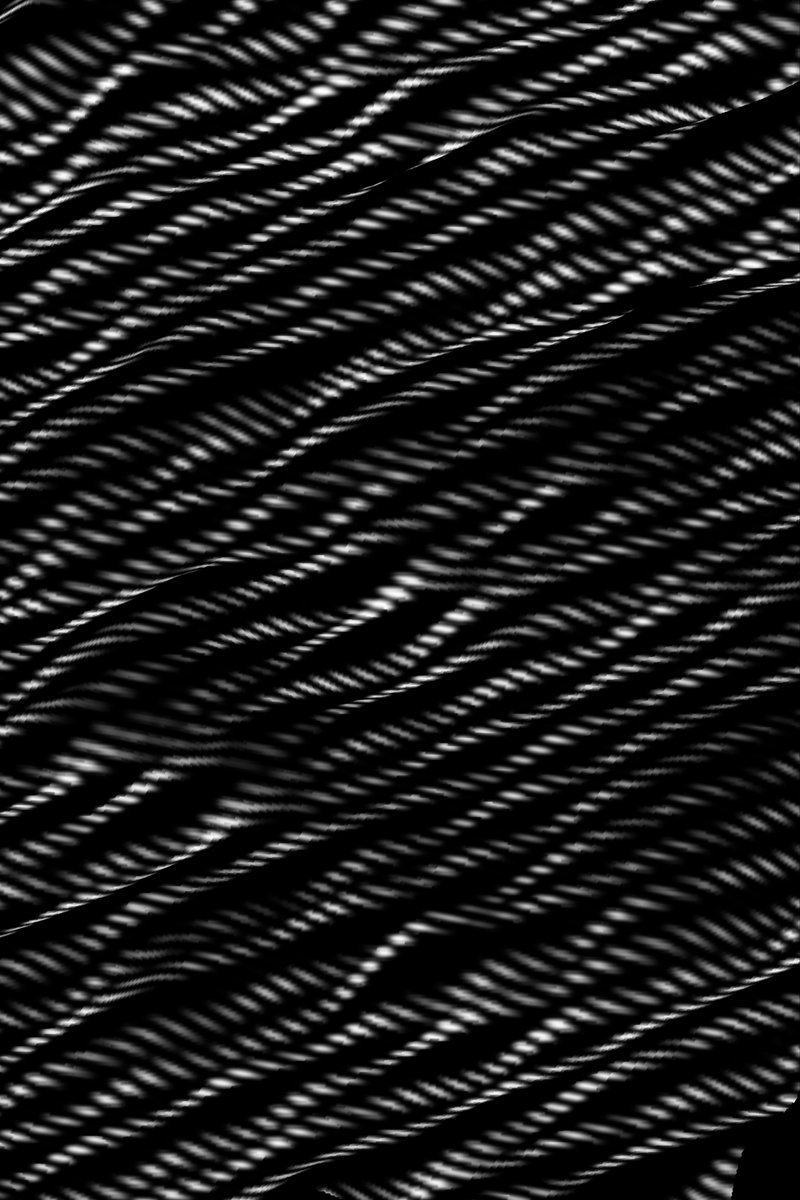 b l a c k d a h l e e a tweet media