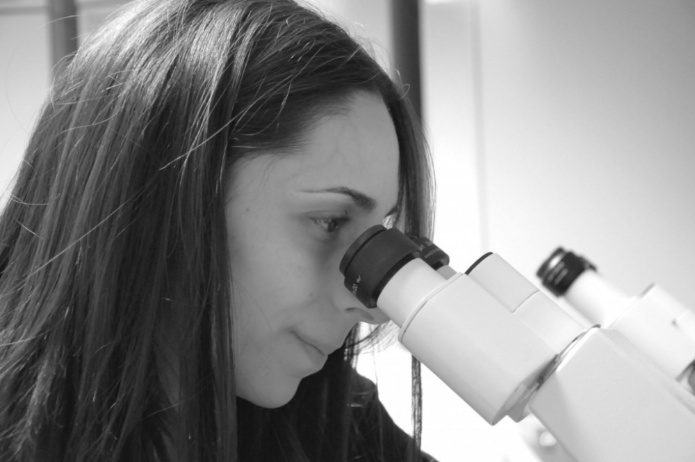 mujerconciencia's tweet photo. .@AnnaGreka explica cómo su equipo está utilizando tecnología avanzada para resolver misterios médicos que tienen décadas de antigüedad y describe cómo este trabajo podría ayudar a desarrollar tratamientos precisos para millones de personas.
https://t.co/9AByFxaQBH https://t.co/oFn5KUO0ZM