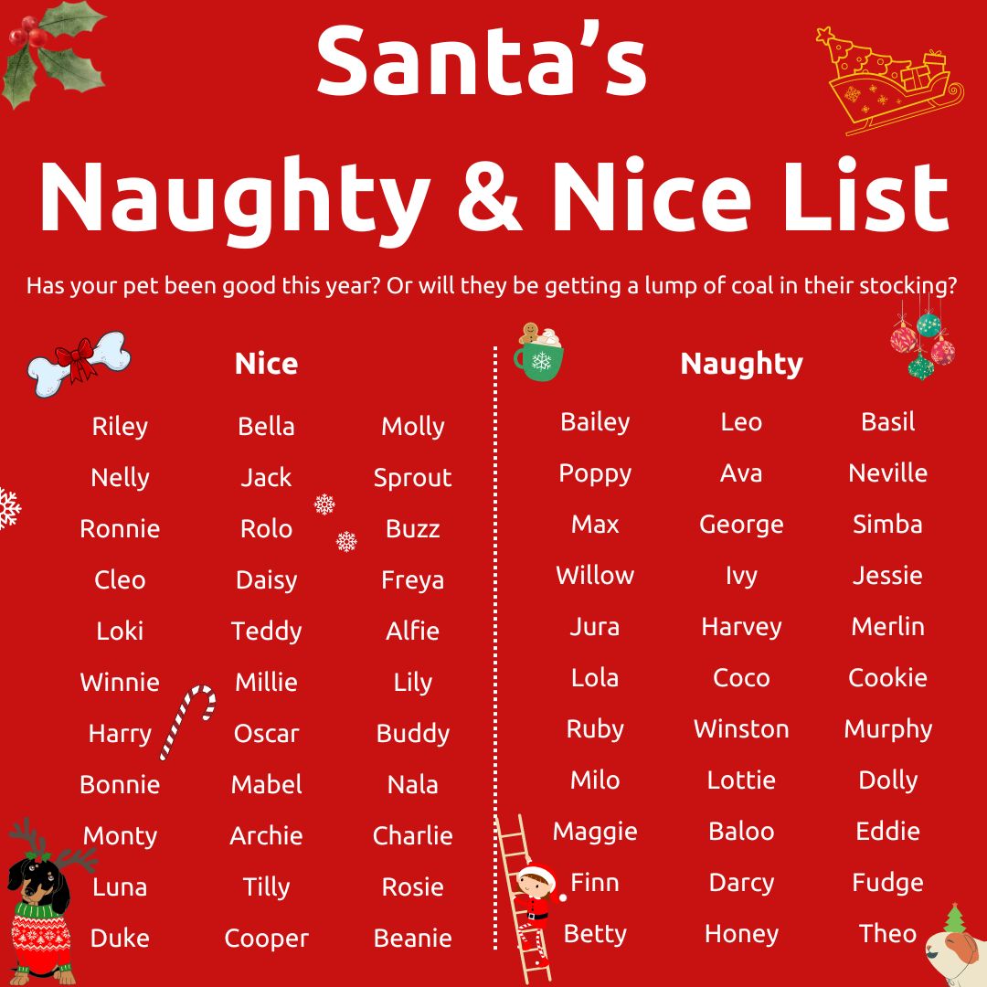 🎅 Rooke's have just received word of the pets on Santa's naughty and nice list this year 👇

#christmasgame #christmasfun #christmasgames #christmasmood #christmasvibes #dogsarentjustforchristmas
#naughtyandnicelist #naughtyornice #naughtyornicelist #santaslist #naughtyandnice