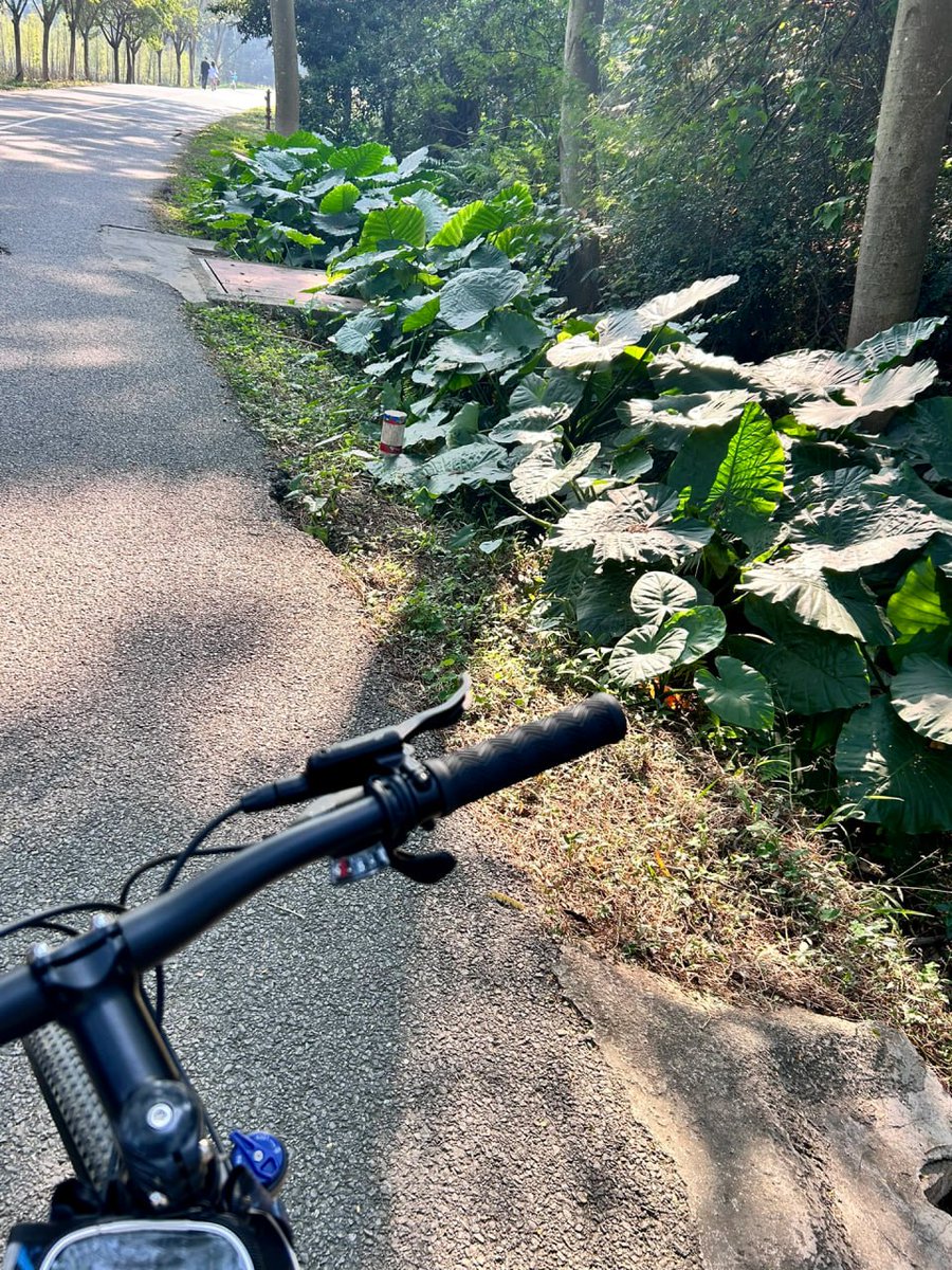 chokodesigns's tweet photo. We want to ride to more places, encounter more landscapes, and write more stories about our youth! https://t.co/sHx2fSL10B