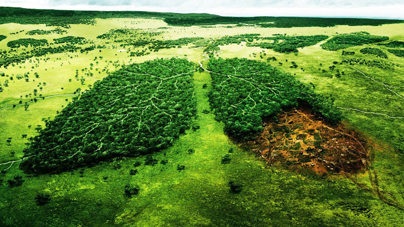 MaaAhi_SaveSoil's tweet photo. We have enough data to show the Climate emergency that we face. We don't need more information, what we need is concrete action at scale! Soil can help mitigate 30% of the climate concerns! Time for Climate action is Now! @UNFCCC  @SadhguruJV @cpsavesoil 
#SoilForClimateAction https://t.co/DueCpYvzHQ
