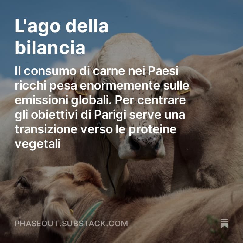 sergio_colombo's tweet photo. Per la prima volta una COP dedica una giornata al dibattito sul settore agroalimentare, responsabile di un terzo delle emissioni generate dall’attività umana. 

Io e @giadagraham ne abbiamo parlato con Madre Brava, organizzazione molto attiva alla #COP28  https://t.co/TUjRj9eT5S https://t.co/0b7PPLrDp4