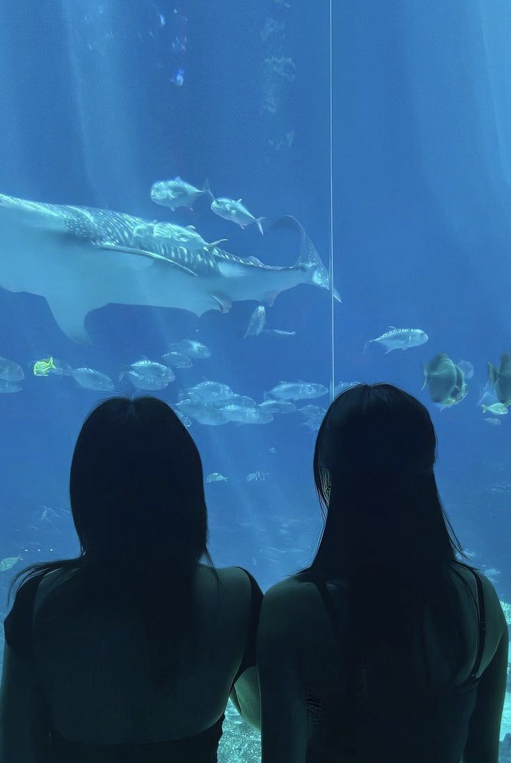 ceritanya lagi aquarium date sama 2 pcr aku🤓 

#osd #onceselcaday <a href="/JYPETWICE/">TWICE</a>
