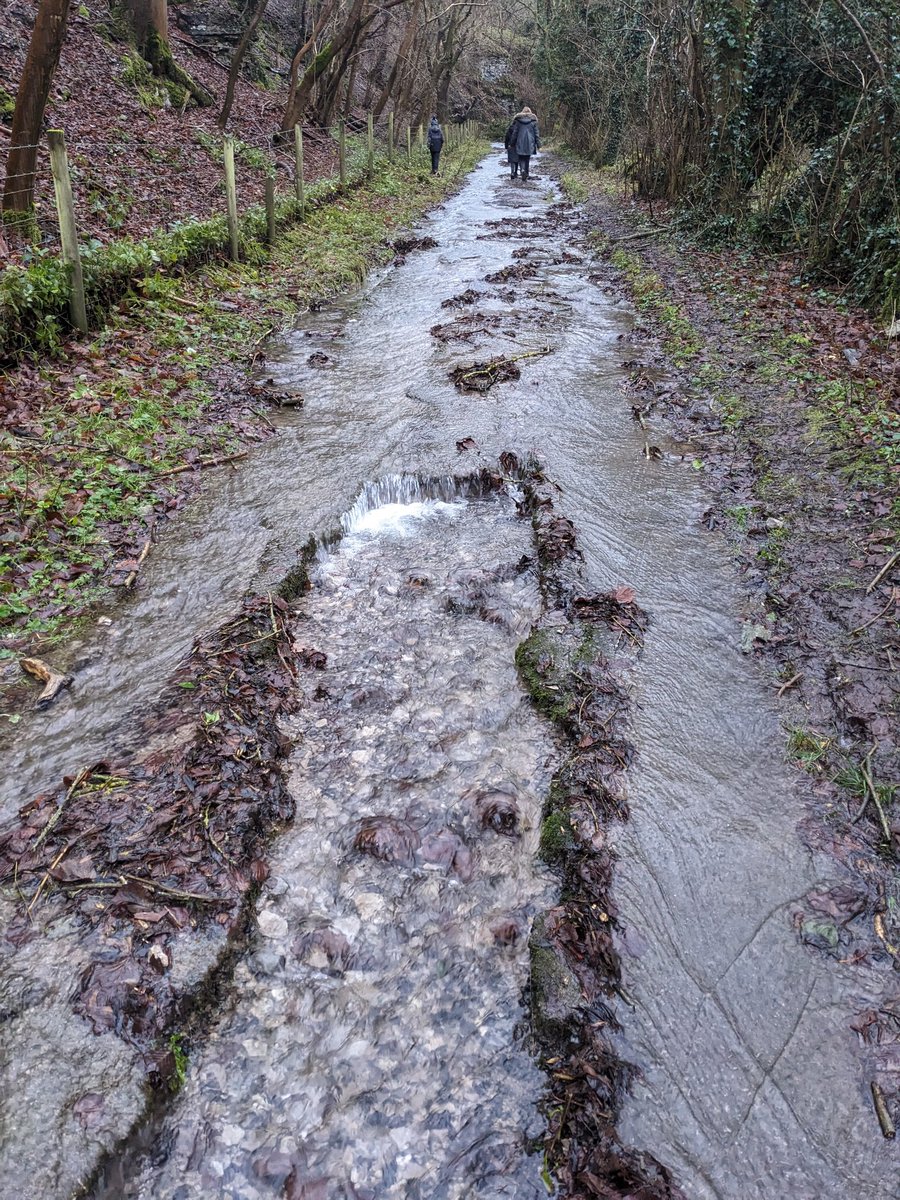 andy_couzens's tweet photo. @KoftheP Not on the bike today but Coombsdale is like a river in places and blocked in a few places https://t.co/nMc4zptJjS