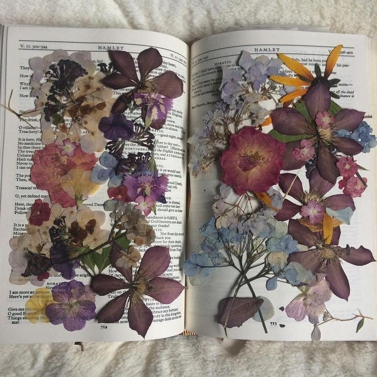 dearlybeloves's tweet image. 🌺🌸🌷 pressed flowers
