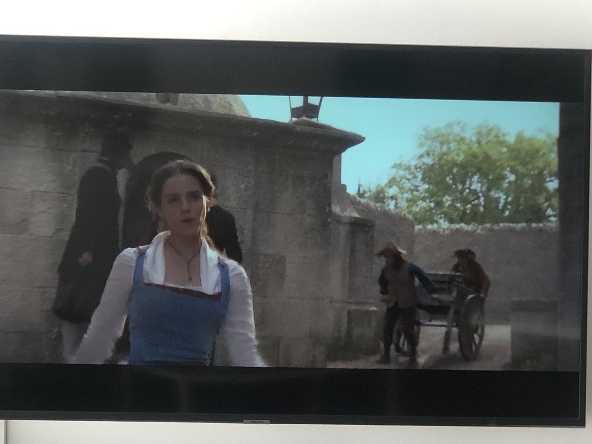 “Por que,¿quién iba a ser capaz de amar a una bestia?
La Bella y la Bestia, mi peli y la de mi mami preferida!