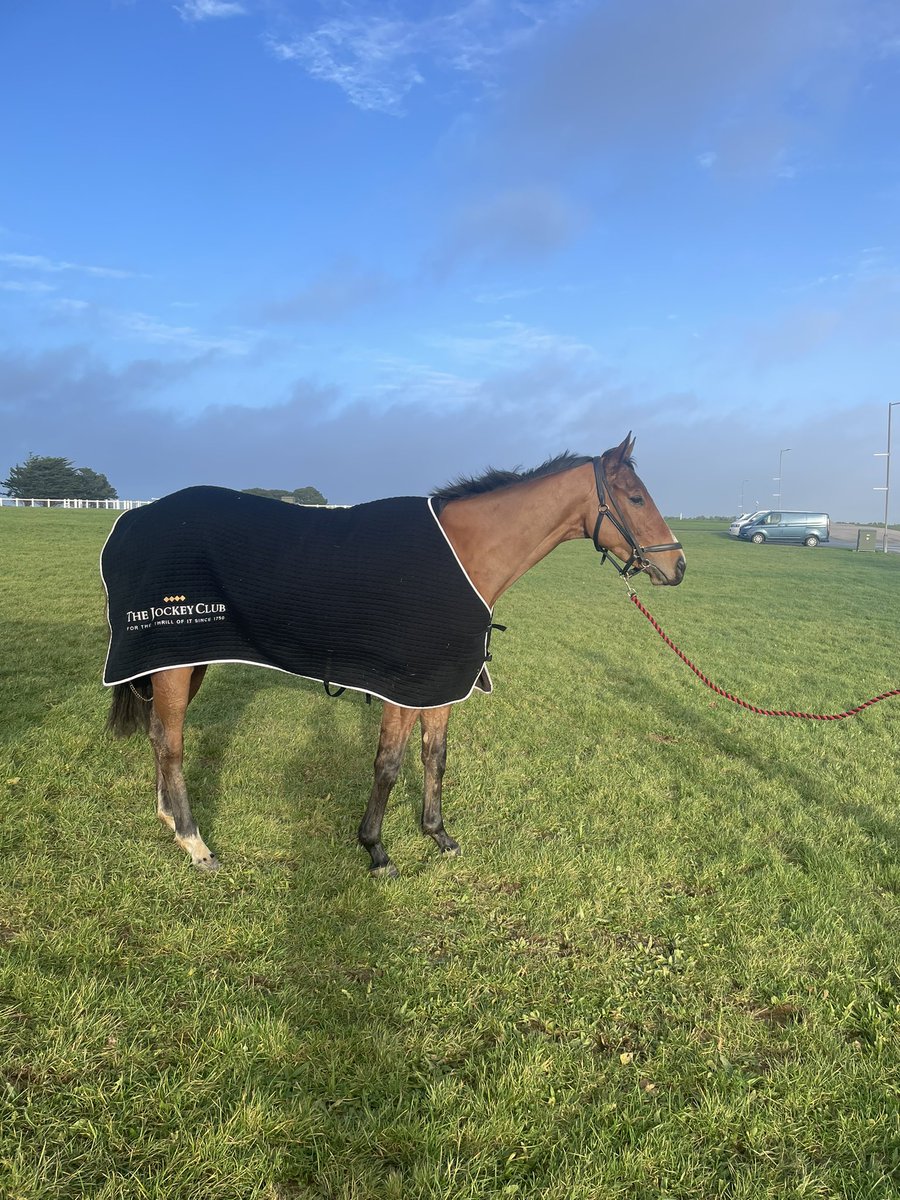 Stuart Payne tweet media