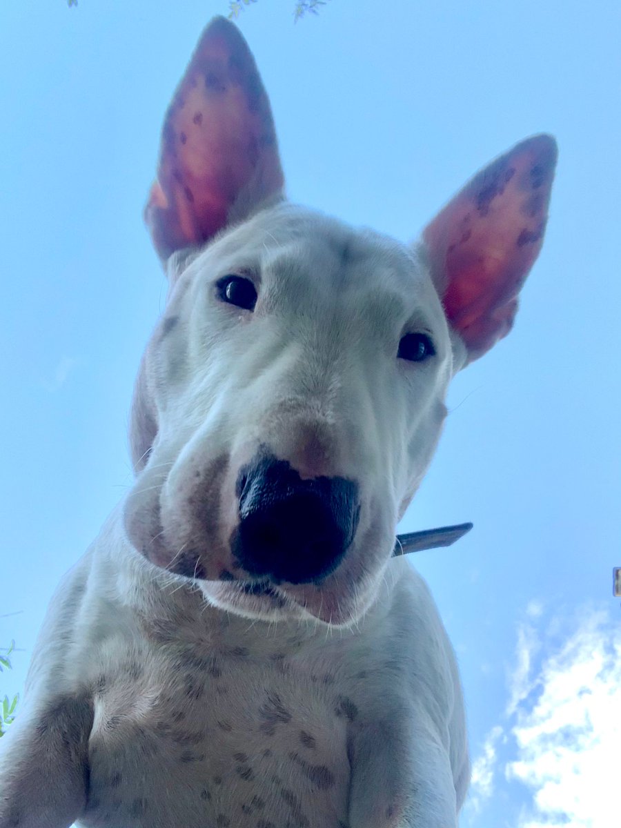 Deborah Vale tweet media