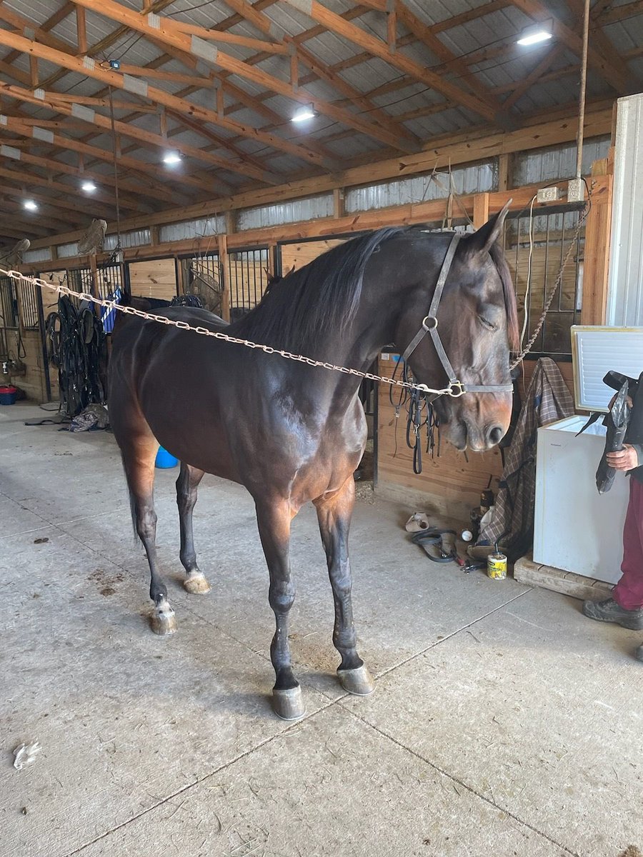 brynbryn tweet media