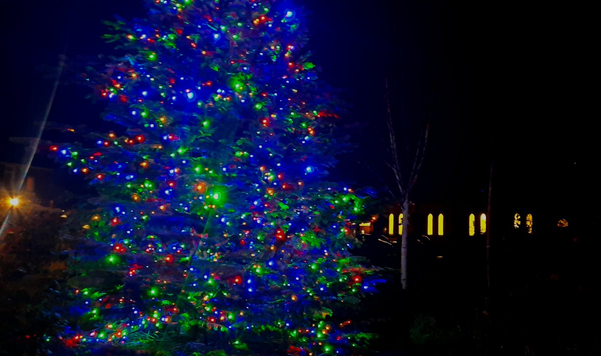 The Village Christmas tree is up <a href="/AinsdaleVC/">AinsdaleVC</a>