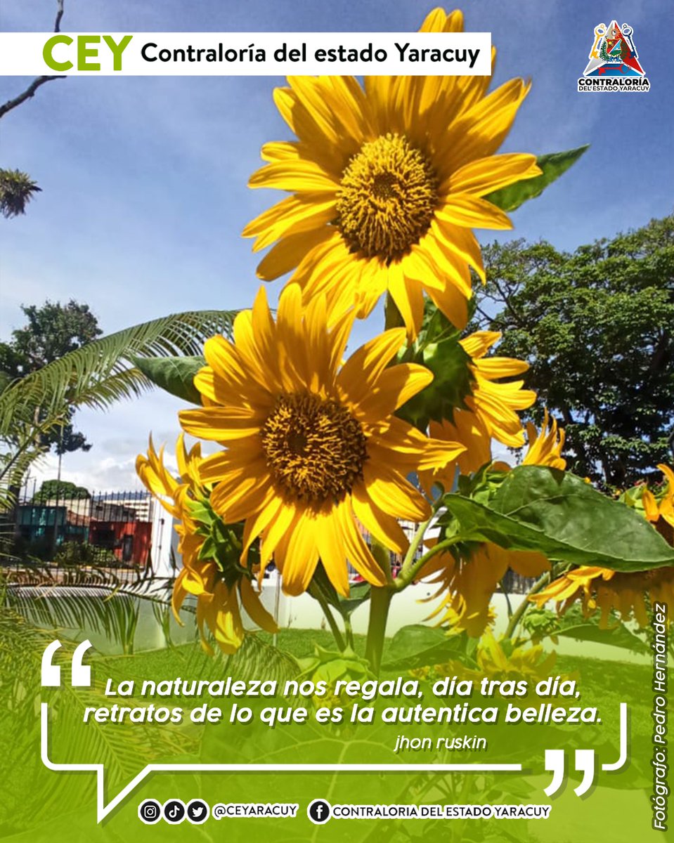 CEYaracuy (@ceyaracuy) on Twitter photo 🗣️#mensajeecológico. Cuidar y proteger la naturaleza debe ser el norte de toda sociedad 🍃
<a href="/CGRVenezuela/">CGR Venezuela</a> #Venezuela #Peña #Boraure #Yumare #contraloriaambiental #gestionycompromisociudadano 🗣️#mensajeecológico. Cuidar y proteger la naturaleza debe ser el norte de toda sociedad 🍃
<a href="/CGRVenezuela/">CGR Venezuela</a> #Venezuela #Peña #Boraure #Yumare #contraloriaambiental #gestionycompromisociudadano