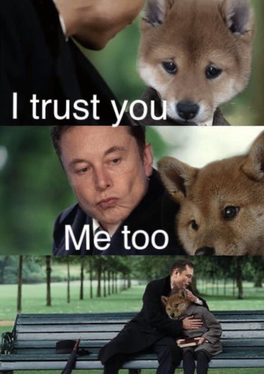 itsALLrisky's tweet photo. Elon Musk has never wavered in his support of Dogecoin https://t.co/hn5olv7wqn