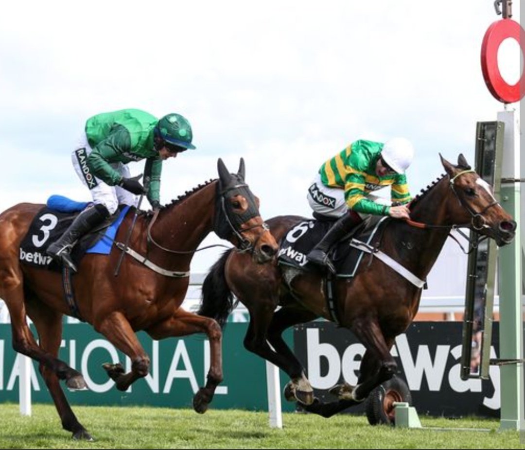 racingblogger's tweet image. ⚔️ EL FABIOLO vs JONBON ⚔️

Who wins when they face off for the third time in the Champion Chase at Cheltenham.

FAV 💚 EL FABIOLO 
R/T 🔄 JONBON 

🏇 This will be a great race, won't it. 

#CheltenhamFestival