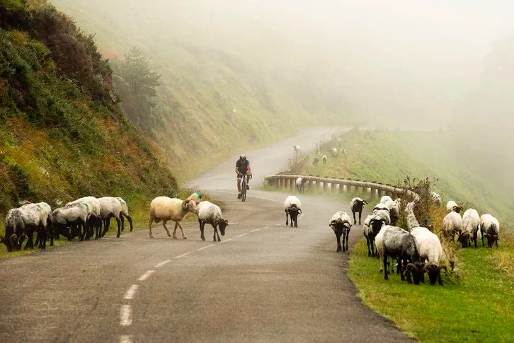 JreneEtchegaray's tweet photo. La Communauté d’agglomération #PaysBasque crée un Syndicat de préfiguration du Parc naturel régional «Montagne basque». Une étape décisive pour préserver nos richesses naturelles, culturelles et humaines. Et valoriser nos traditions populaires et savoir-faire. #capb 📸G.Fauveau https://t.co/Ma7z0UkdiH