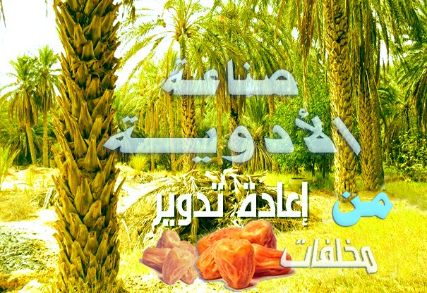 استعراض المقال