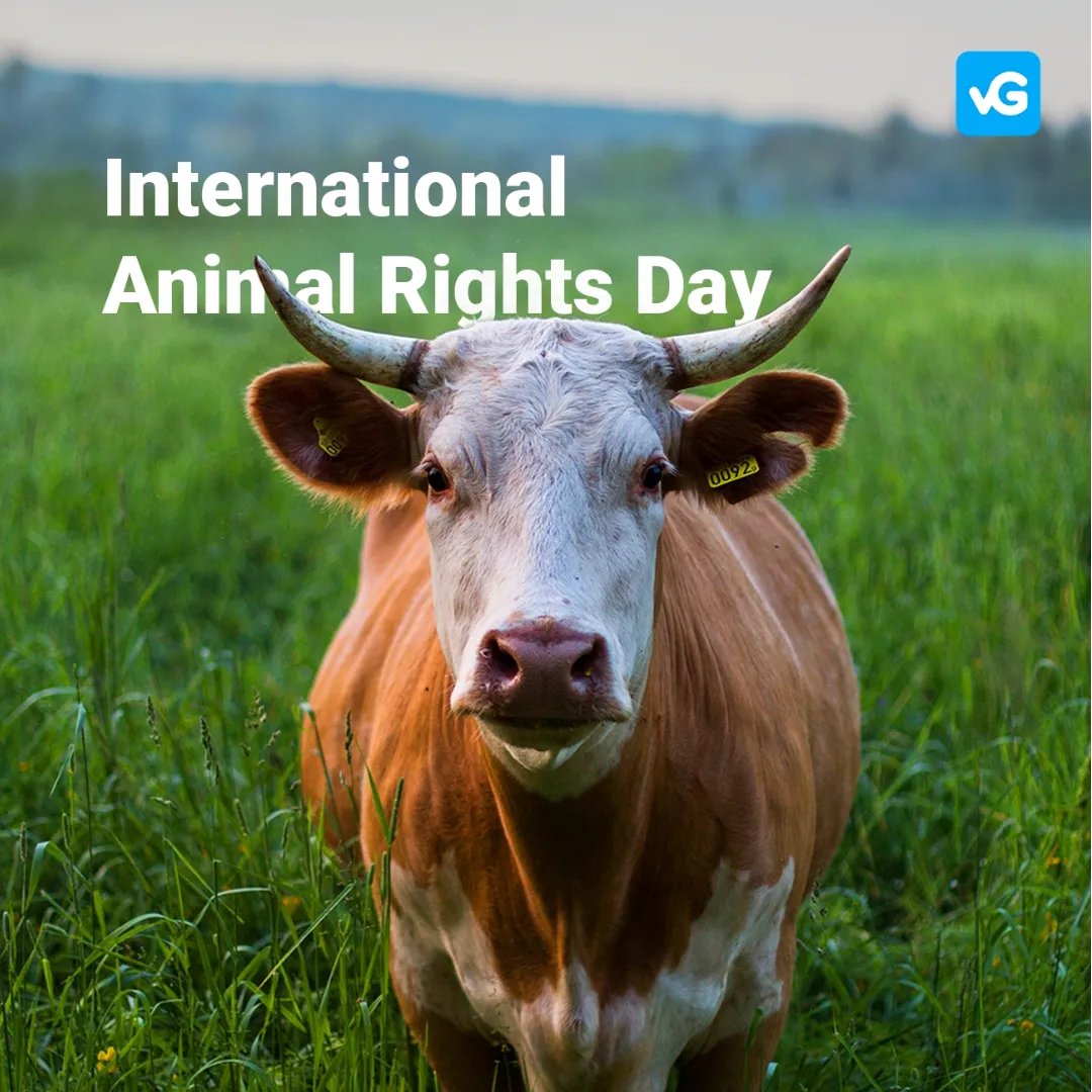 If all the animals could speak, what would they tell us? 🐷🐰🐮

Support the Stop Animal Cruelty cause in the #viaGood app. 💙

Fundraising projects, petitions, events.

Join up!! 🙌🏻
viagood.app