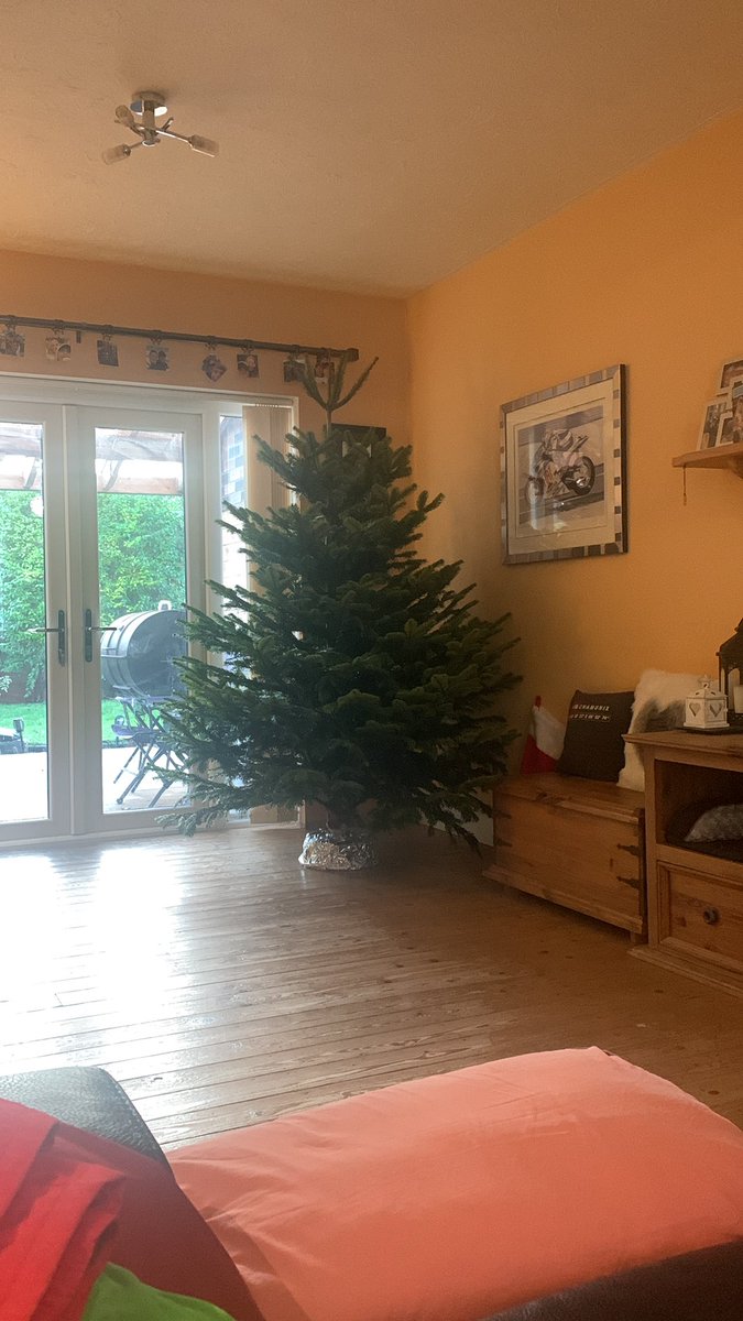 FFS I had no say in it, we’ll I ain’t decorating it🤦🏼‍♂️🤣🤣