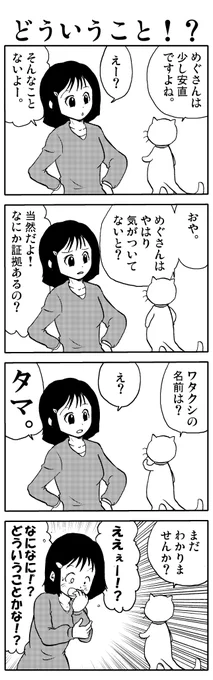 うちのタマが「進化」しました。⑪    ※ タマも気づきました。  #猫 #漫画が読めるハッシュタグ