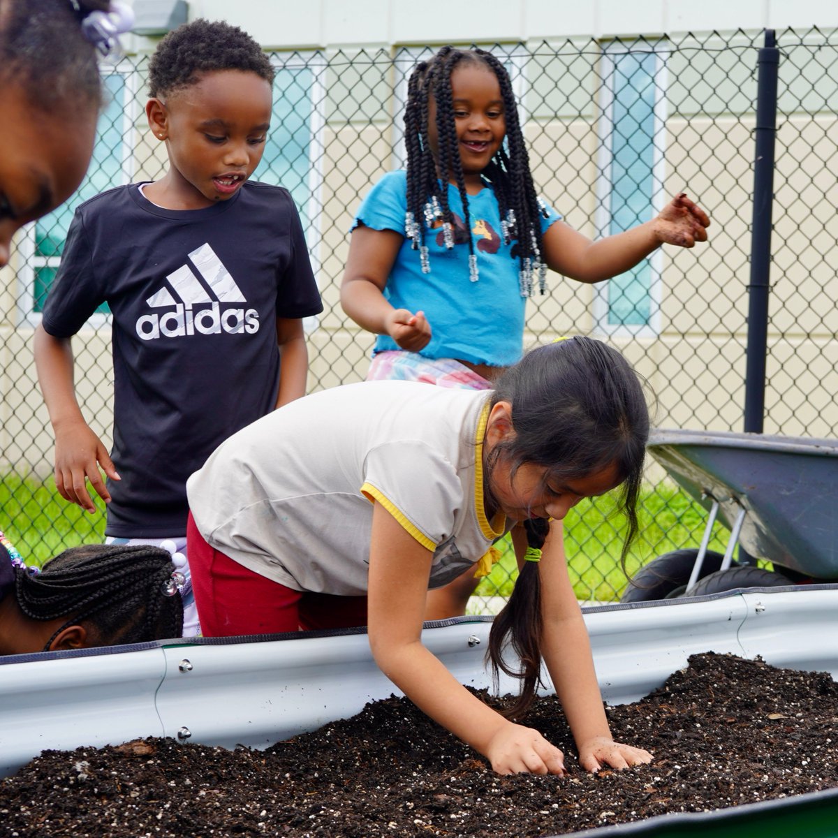 fleetfarming's tweet photo. When young children are involved in #Gardening, such as #SchoolGardens or regular time in the home garden, they experience a ton of benefits! E.g., greater concentration 🙇,  #EnvironmentalResponsibility 🌎, scientific #Inquiry 🧪, and the development of #HealthyHabits. https://t.co/Hg4tOkSpGX