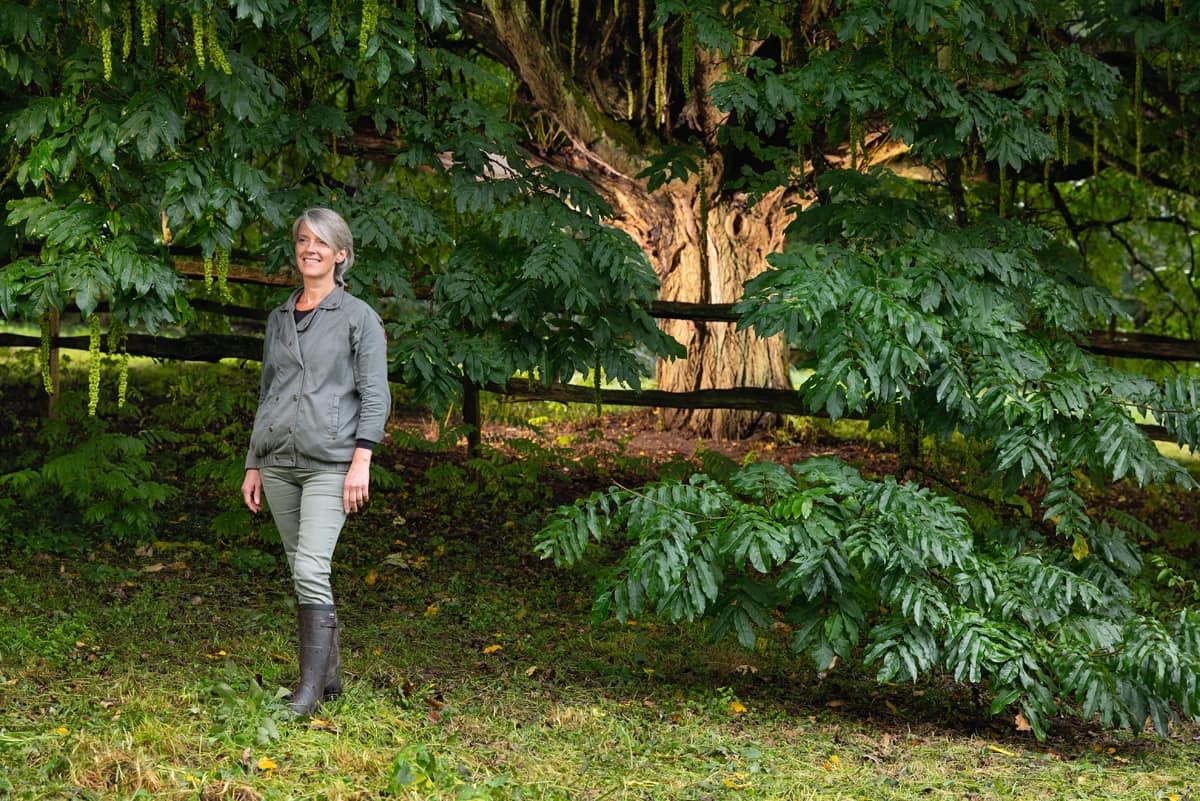 hautsdefrance's tweet photo. Et si l’arbre de l’année était encore un arbre des #hautsdefrance ?
🌳 Cette année, c’est le noyer du Caucase du Domaine de Fresnoy de #LoisonSurCrequoise qui porte nos couleurs !
🌳 Votez ici ➡️ https://t.co/AJg7AfoyWQ https://t.co/UapjGJ8CfB
