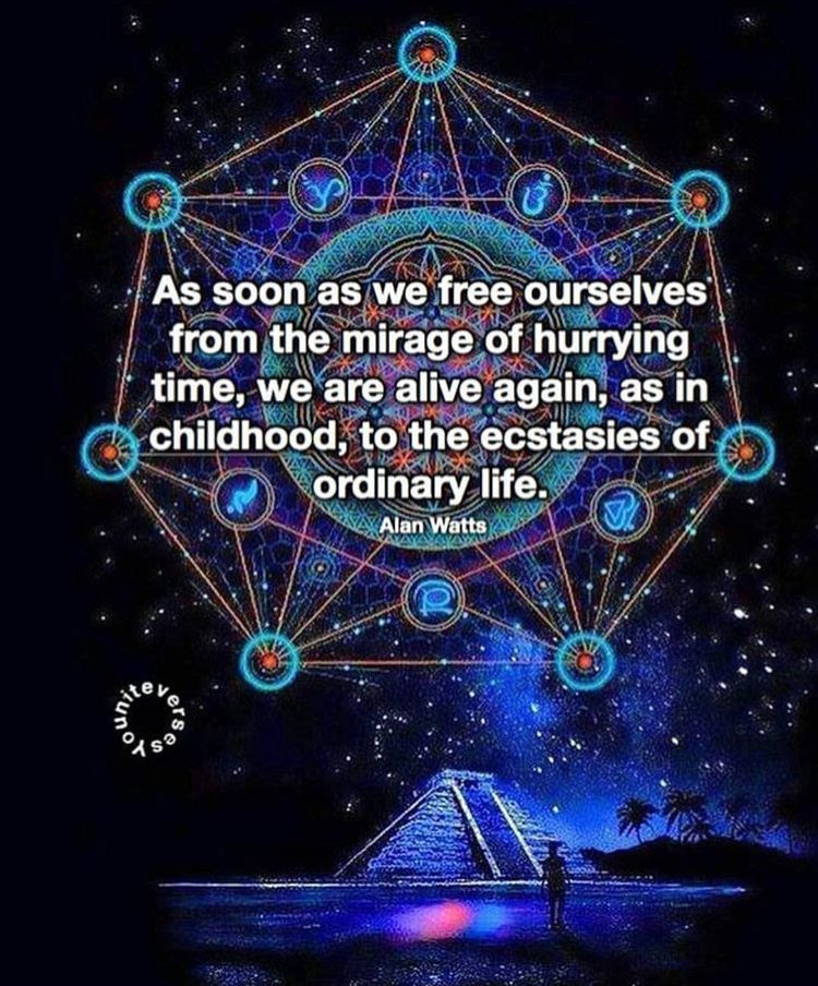 atomicskunk's tweet photo. #illusionoftime #bepresent #breathe #balancedlife #calmyourmind #slowdown #higherself #innerchild #rebirth #5d #seekthesimplicity #slowlife #slowliving #seeksimplicity #livingslow #momentsofmine #slowhome #innerbliss #awakening #ecstasies #slowdowncollective #goslow #ordinarylife https://t.co/QPmqZLCIrA