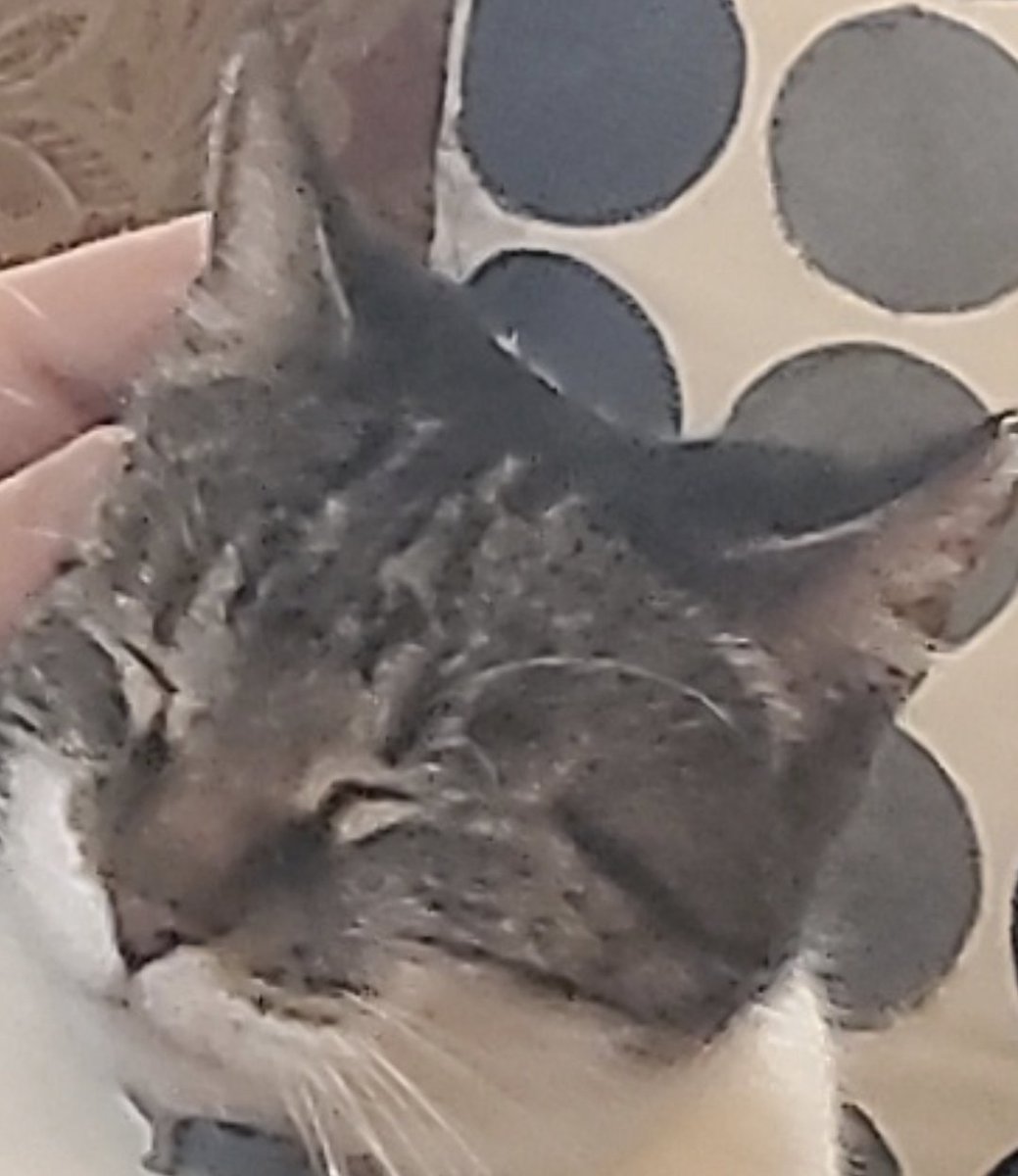 We won. <a href="/NYCWarriors/">The Warriors</a>