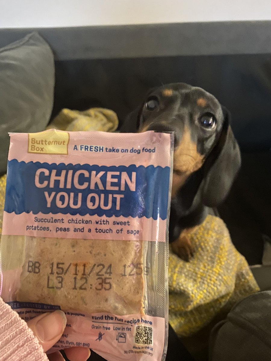 pls__xx's tweet photo. Freshly prepared dog food delivered to your door!
Thanks #ButternutBox 🐓 https://t.co/CzmaOeqVwo