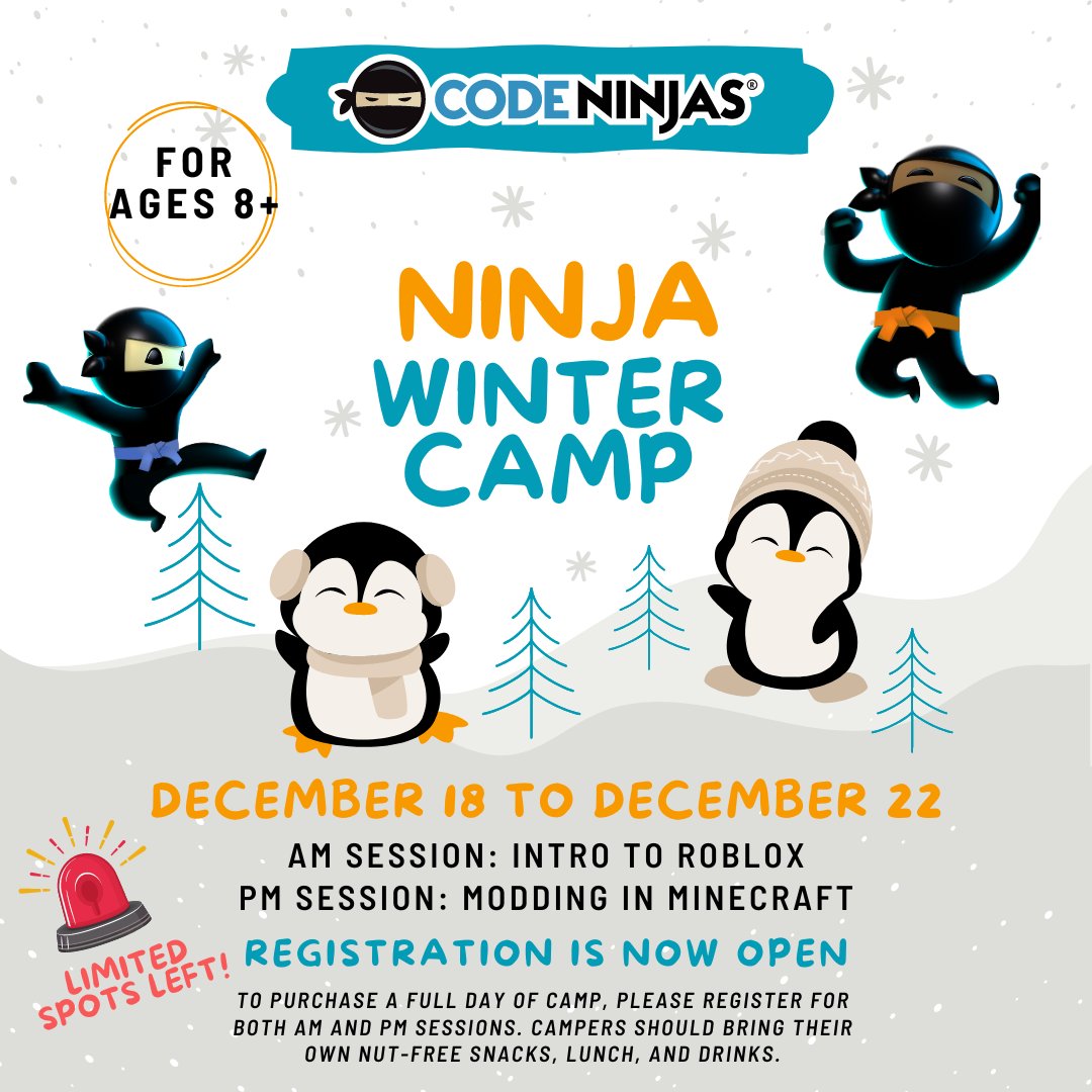 Winter break is fast approaching, are your ninjas enrolled? Spots are still available for half-day and full-day options!

#codeninjas #winterbreak #schoolsout #stemforkids #roblox #minecraft #stemcamps #kidswhocode #hiyah