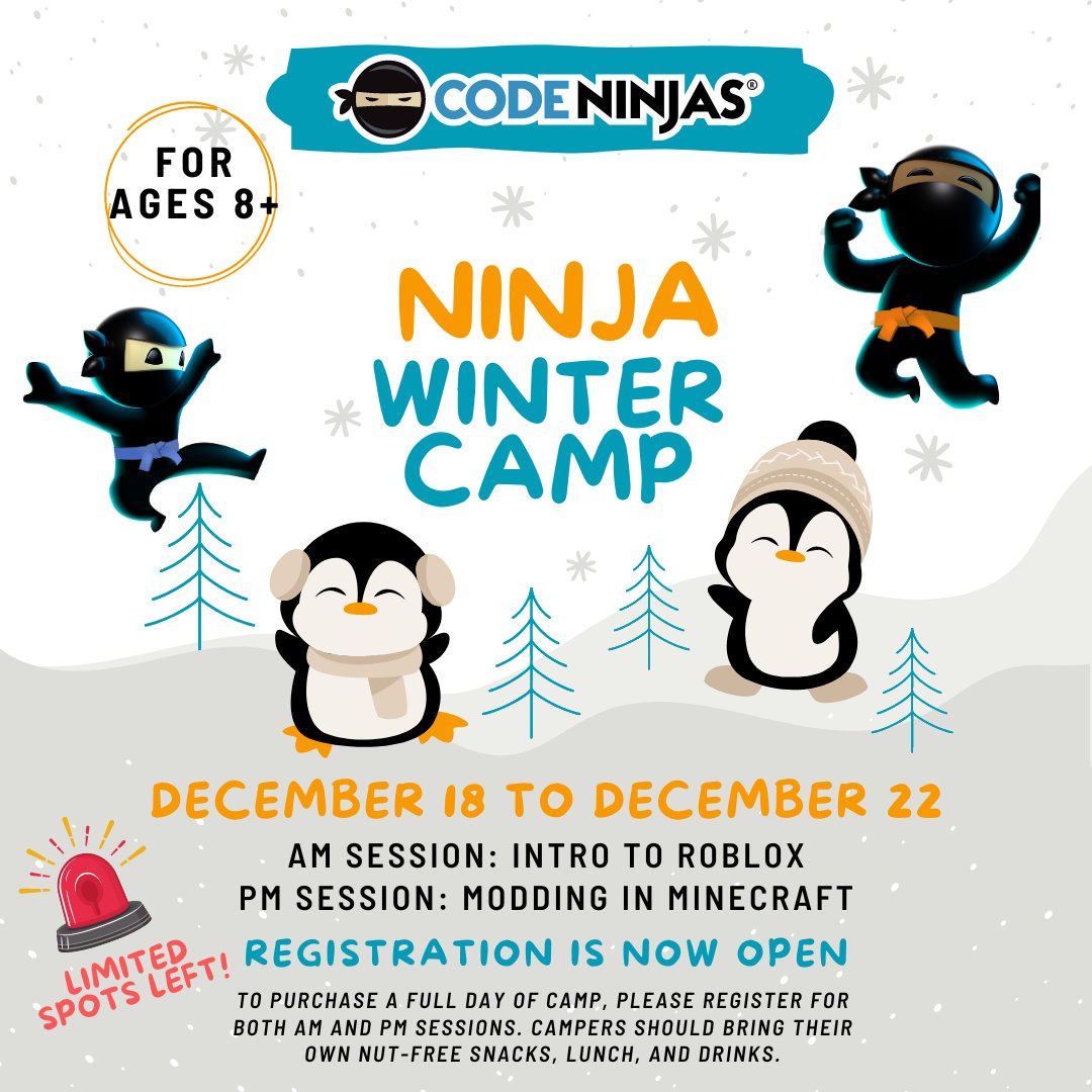 CodeNinjasALX's tweet image. Winter break is fast approaching, are your ninjas enrolled? Spots are still available for half-day and full-day options!
#codeninjas #winterbreak #schoolsout #stemforkids #roblox #minecraft #stemcamps #kidswhocode #hiyah