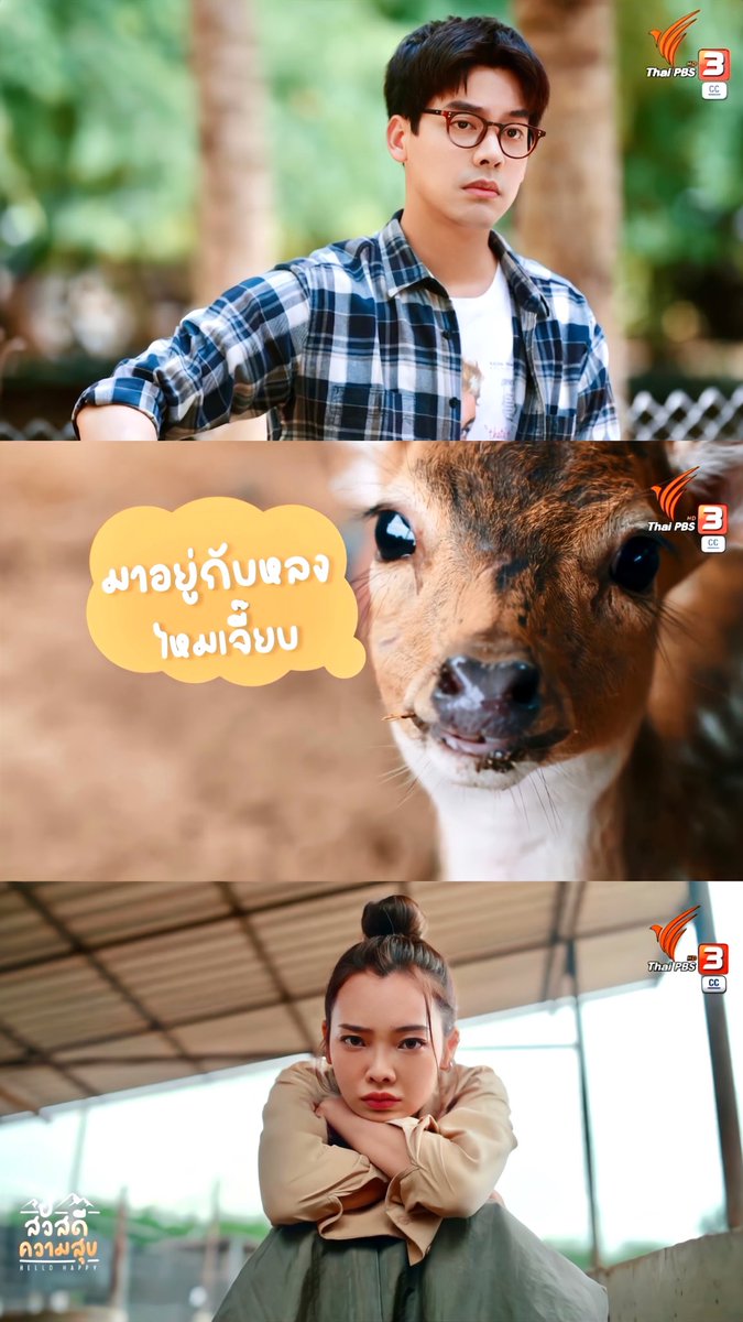 Cheryl_LU921's tweet image. 愁眉苦脸小情侣😂，小动物永远是人类的好朋友，最佳倾诉对象，所以这里可爱的小梅花鹿在Tiew Khao和Jeab的感情升华中起着至关重要的作用🥰🦌🥰🦌

#TaeDarvid
#สวัสดีความสุขEP9  
#HelloHappy