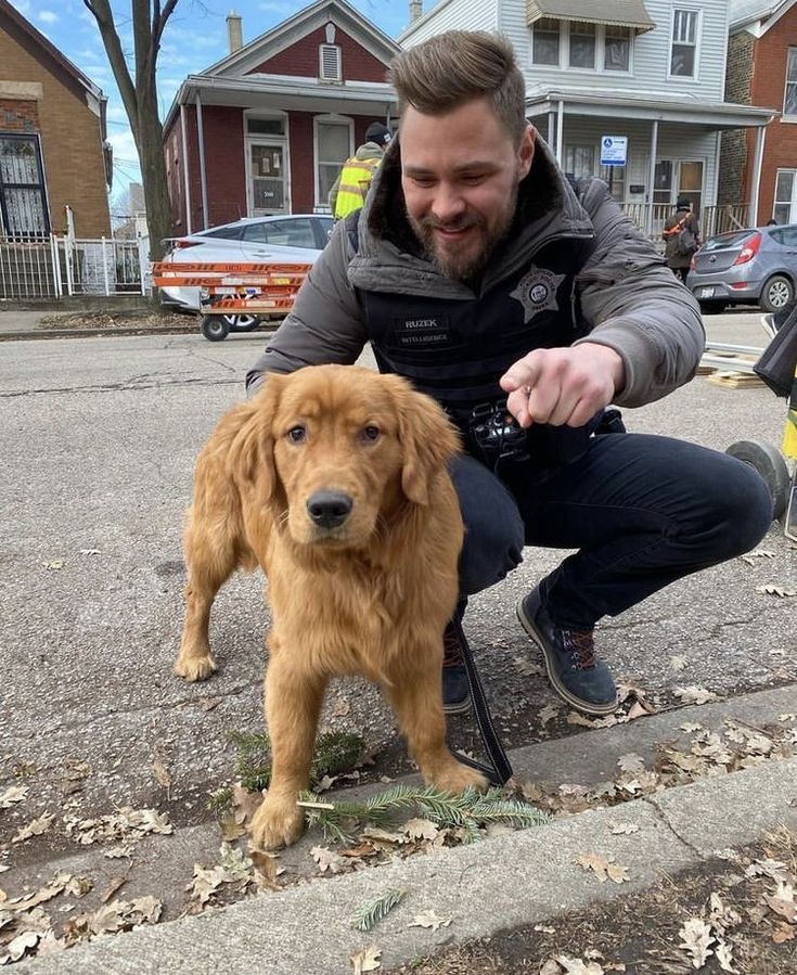 HBKgirl28's tweet photo. Happy Birthday Paddy
#ChicagoPD #OneChicagoPD https://t.co/sceL3NRsJk