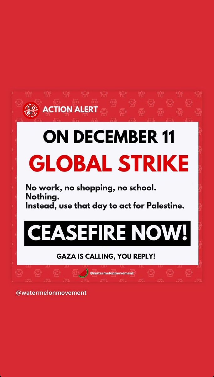 SaherSa23's tweet photo. 🛑A worldwide campaign began to push for a comprehensive strike on Monday, 12/11/2023.

⭕️ The people want to paralyze the movement of life and the economic wheel in all countries so that everyone feels that they are directly affected by the aggression on Gaza... https://t.co/8dQVOGUh6L