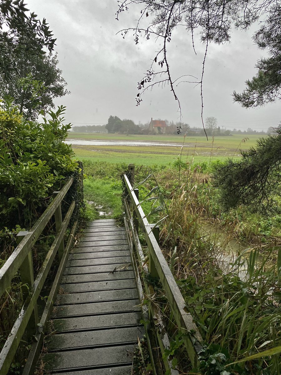 Jay Gunn tweet media