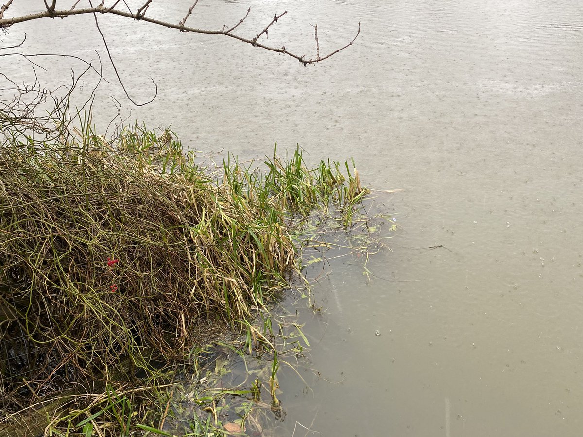 Jay Gunn tweet media