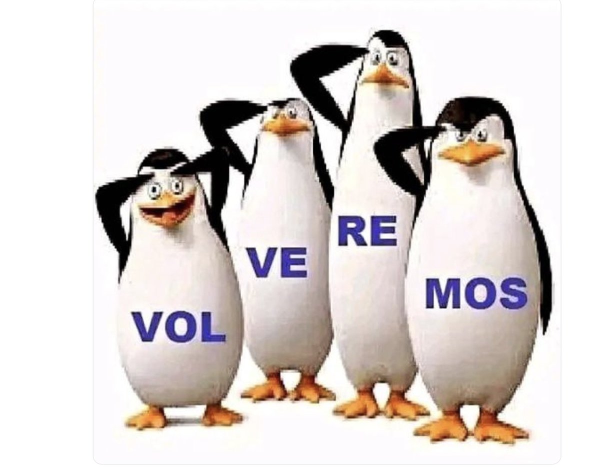 SERGIO RODRIGUEZ ✌️ tweet media