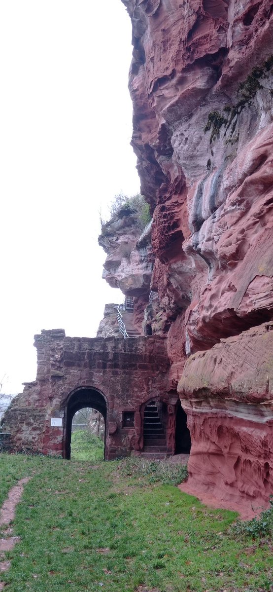 EdithPY2's tweet image. Ruines du château du Falkenstein. Datant du XIIe s., c'est la plus ancienne place castrale sur barre rocheuse des #VosgesDuNord et le plus important 🏰 du pays de #Bitche #Moselle. A visiter à l'occasion des innombrables randonnées que l'on peut faire dans ce secteur !