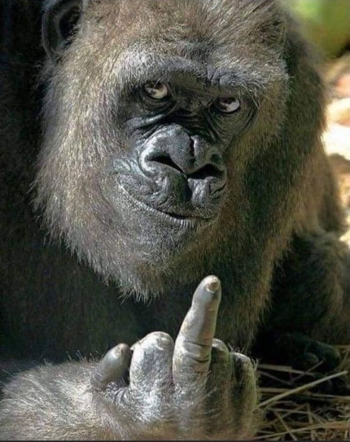 la groncha saliendo de la casa rosada #groncha