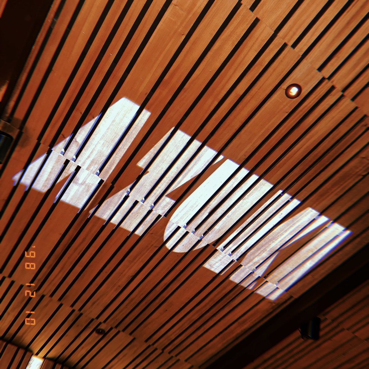 SexyMichill's tweet photo. Love the vibe⛩️🔥 @Azuki
#AzukiTaipei https://t.co/EUF25uOqs8