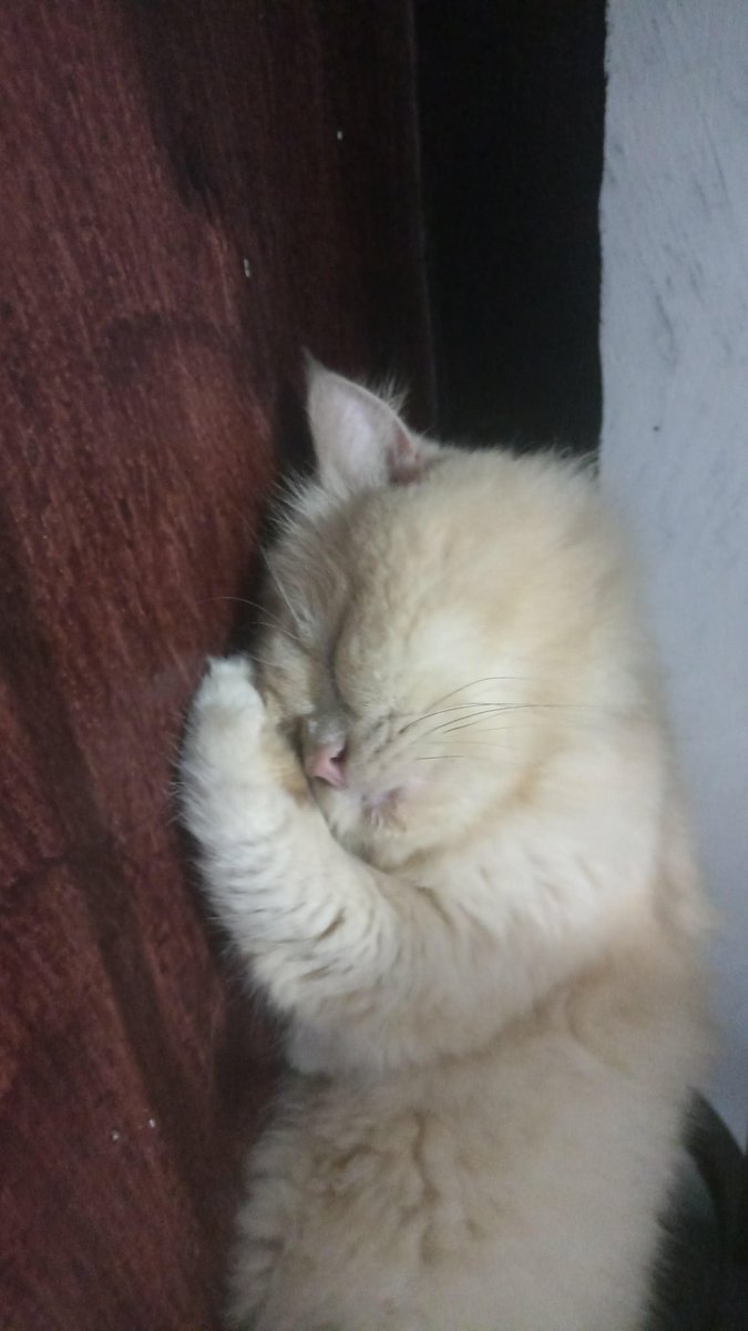 Pusing amay